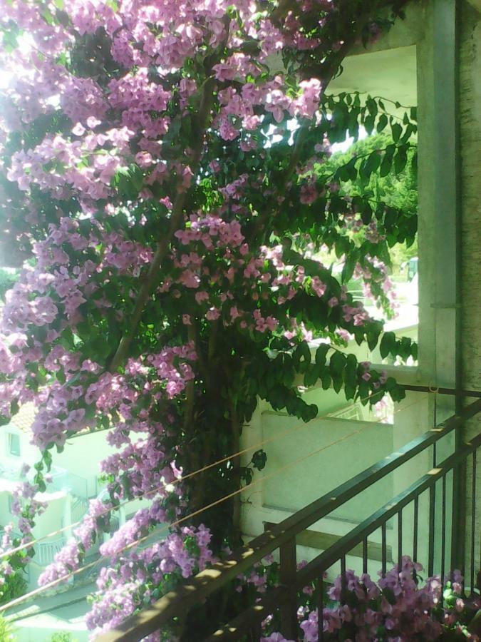Apartmani Ivona Подгора Экстерьер фото